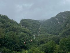 -牛背梁国家森林公园