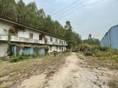 -黄埔油麻山森林公园