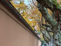 -苏州文庙(姑苏区)