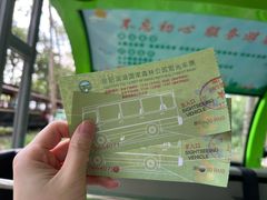 -合肥滨湖国家森林公园