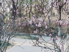 -南海子公园