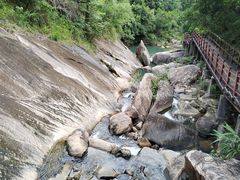 -广州白江湖森林公园