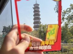 -广州都市观光巴士(粤陶巴)
