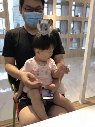 -Moni星球萌宠·小马宝莉·灵蛇·高端高阶全萌宠互动体验俱乐部(红豆国际广场店)