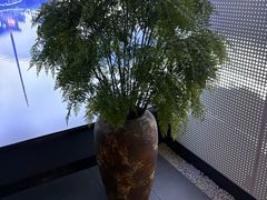 -上足·影院足道·SPA(红岭店)
