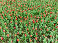 景点-长春公园(普阳街道)