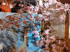 -解家河南菜(金水路店)