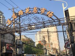 -溪岸路花鸟市场