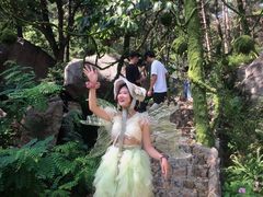 -沂蒙山旅游区云蒙景区(蒙山国家森林公园)