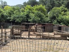 -北京山里寒舍度假酒店