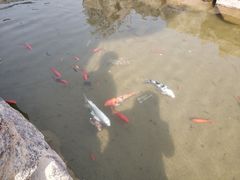 -杨家埠民间艺术大观园