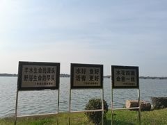 -丁香湖公园