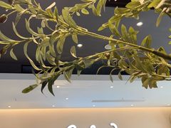 -Seesaw Coffee(深圳深业上城店)