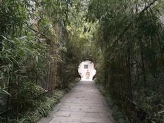 -龙潭水乡