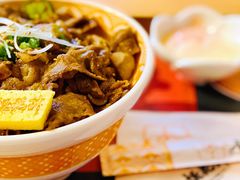 -桃花丼烧肉饭(凯丹商场店)