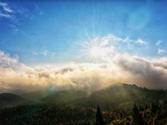 -武陵山森林公园