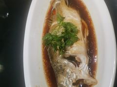 -丰收日(五角场店)