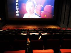 -华美国际影城(旧宫永辉店)