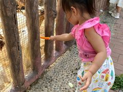 -石家庄市动物园