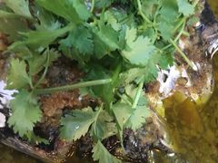 -老乡村(南湖路店)