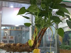-大草原清真饭庄(沙河店)