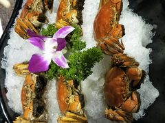 -龙虾风暴(松江店)