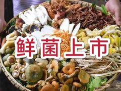 野生菌-七采菌园·野生菌石锅鱼(环城北路店)