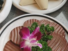 -豪渝火锅(宜昌水悦城店)