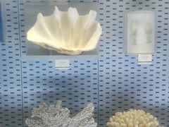 -浙江自然博物院(杭州馆)