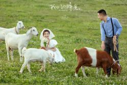 点击看大图 -格拉视觉摄影工作室(正成·财富ID店)