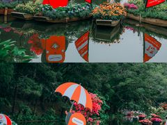 -深圳市中科院仙湖植物园