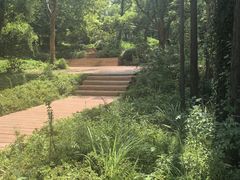 -东湖落雁景区