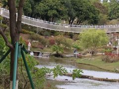 -东莞植物园