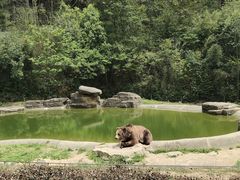 -杭州野生动物世界