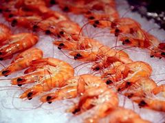 -太湖饭店玉兰厅(自助餐厅)