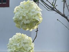 -洛阳市隋唐城遗址植物园