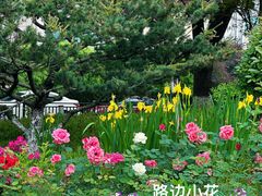 -义乌之心城市生活广场