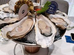 各国鲜活生蚝-Petit Oyster叫嚎(平安金融中心店)