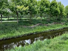 -东郊湿地公园