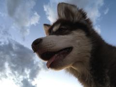 -亿利库布其七星湖沙漠生态旅游区