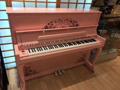 -柏斯音乐艺术中心·钢琴·吉他(世纪金源店)