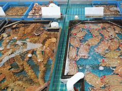 -渔家大院·胶东海鲜·老鲁菜餐厅(德胜店)