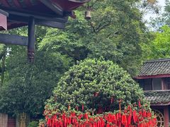 -峨眉山报国寺
