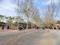 -朝阳公园游乐园