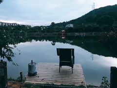 -梧桐庄园