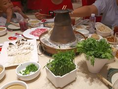 -阳坊大都涮羊肉(阳坊总店)