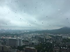 -南京维景国际大酒店(南京博物院店)