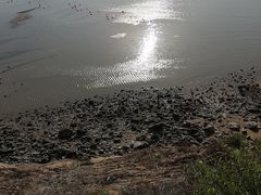 -北岐滩涂