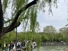 -西湖天地