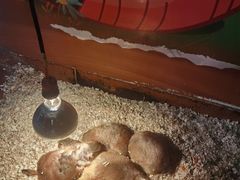 -秦皇岛新澳海底世界